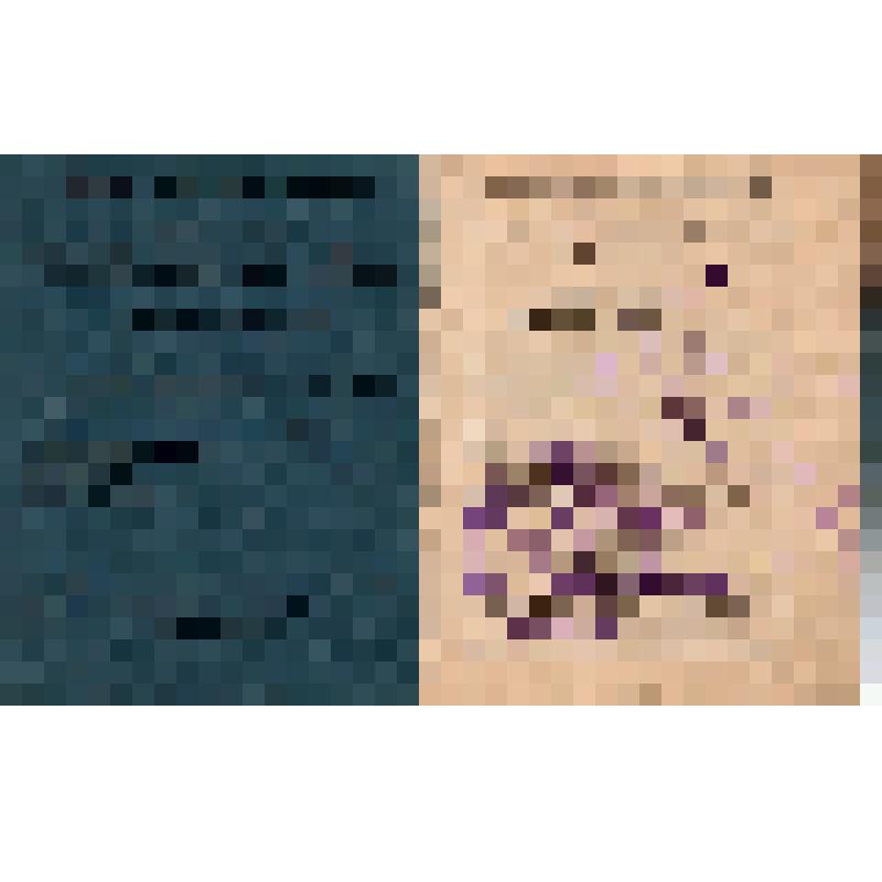 Билет N94 Шорр М., уполномоченного рабочего об-ва потребителей работников медико-санитарного труда г. Москвы "Медсамкооп"