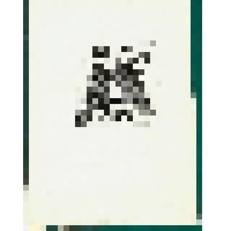 Иллюстрация к повести Кассиля Л.А. "Кондуит и Швамбрания". Графика