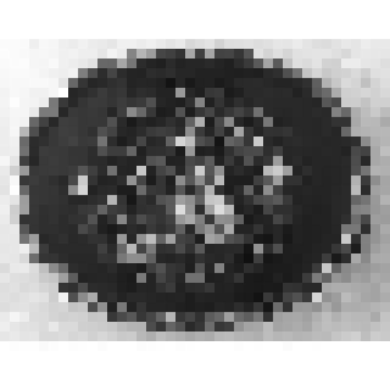 Негатив. Автор Пичугин. Поднос "Цветы". Металл, масло, лакировка. Размеры: 41х51 см. Артель «Металлоподнос». дер. Жостово. Мытищинский р-н. Московская область. 1957 г. Материалы из коллекции "Фототека НИИХП"