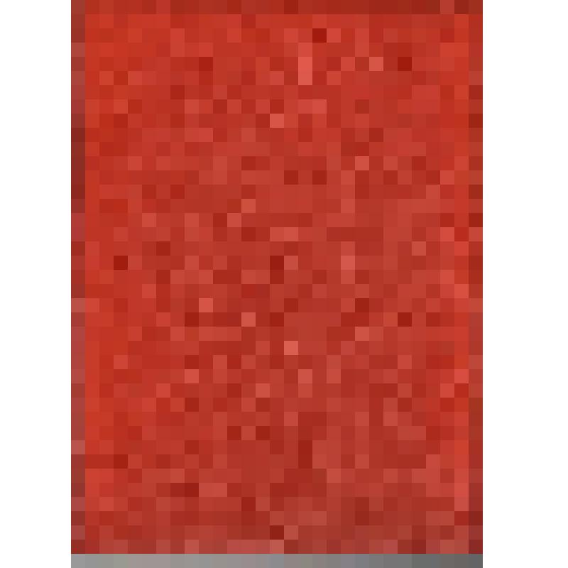 Папка. Папка диплома Трофимука Андрея Алексеевича о присвоении звания «Почетный разведчик недр» за большой вклад в развитие геологической науки, создание сырьевой базы нефтяной и газовой промышленности и в связи с 70-летием со дня рождения постановлением