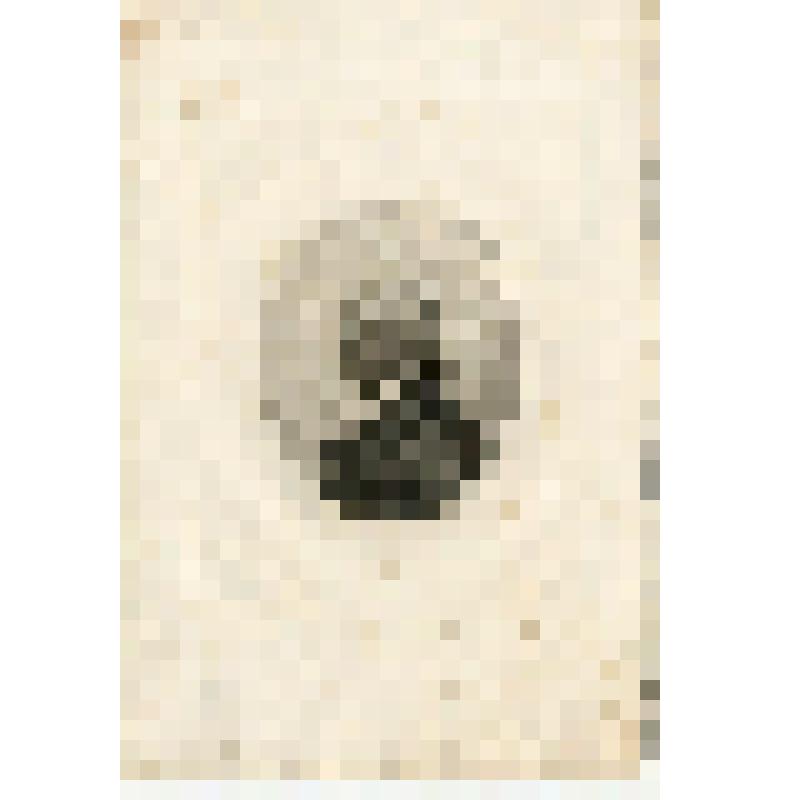 Портрет А.И. Мусина-Пушкина. Гравюра