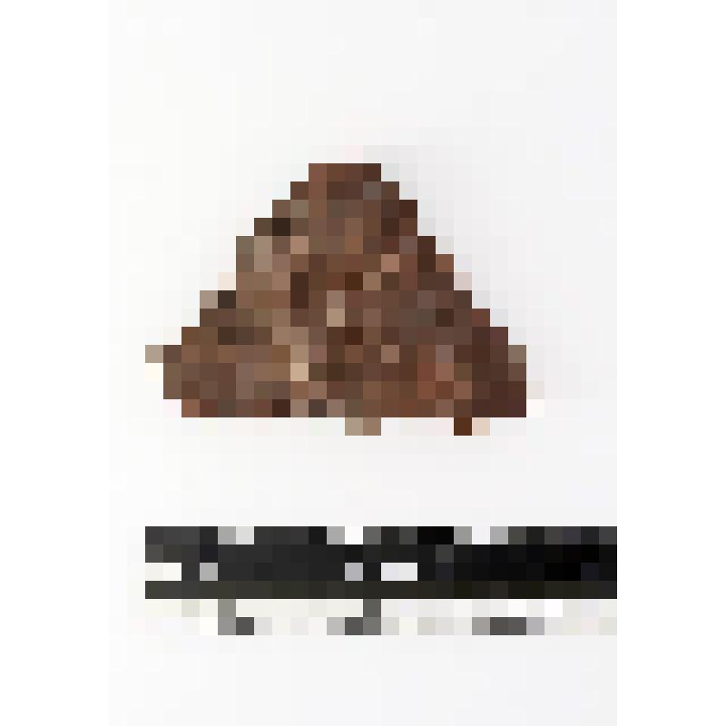 Отщеп с ретушью. Река Набиль-8