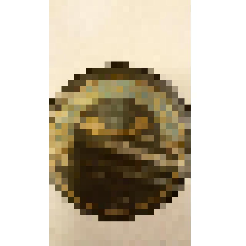 Грампластинка. Пьеса: "Хазъ булатъ" цыганский романс. Исполняет Г.П. Садовников с оркестром. Москва; Пьеса: "Скажи мне, товарищъ, за что ты попалъ въ рудники ". Исполняет Г.П. Садовников с оркестром