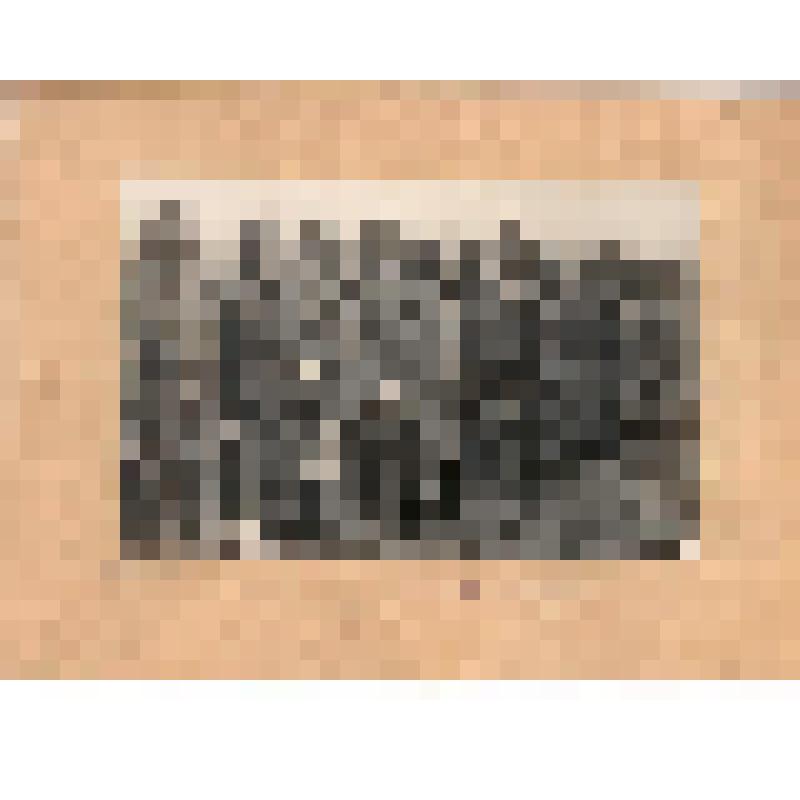 Фотография черно-белая на паспарту. Построение курсантов на теоретич. занятия