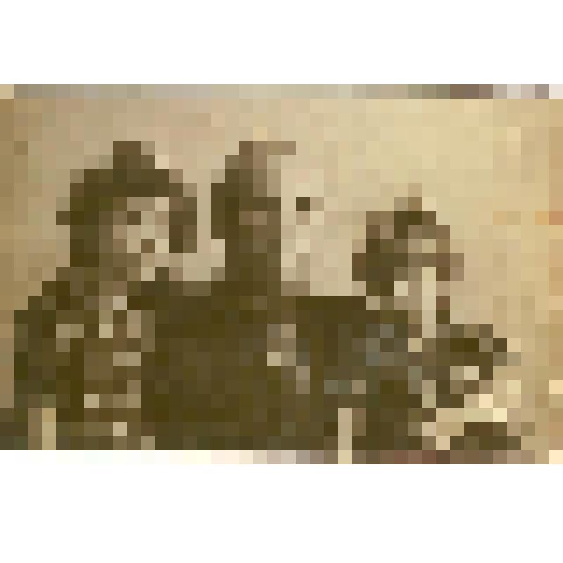 Фотография. Кнейчер В.С. с дочерьми Симой и Фридой