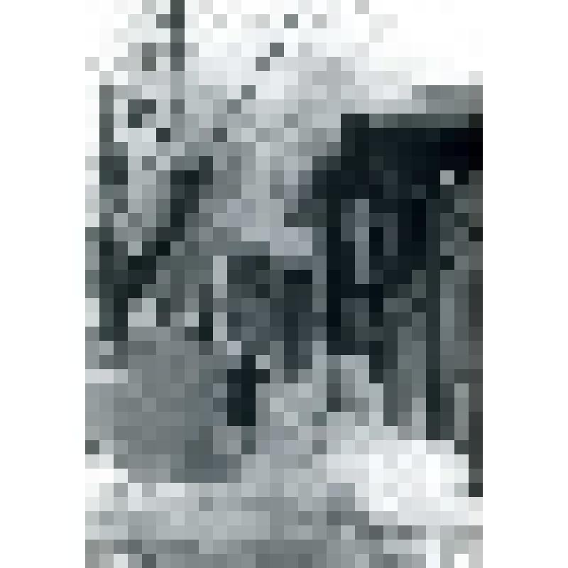 Фотография черно-белая. Наступление весны в городе. Из фотоальбома Л.И. Борисенко № 70 "Зима"