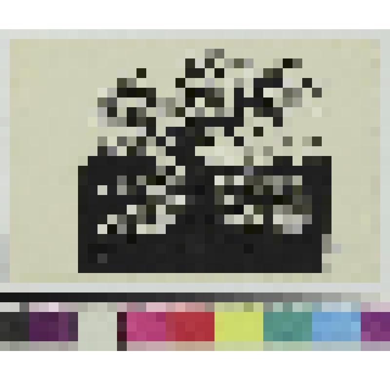 Сельский пейзаж, гравюра