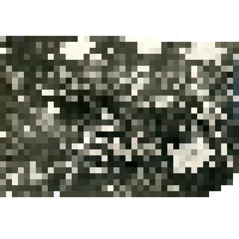 Фотография. Разделка рыбы. Кумах сурт