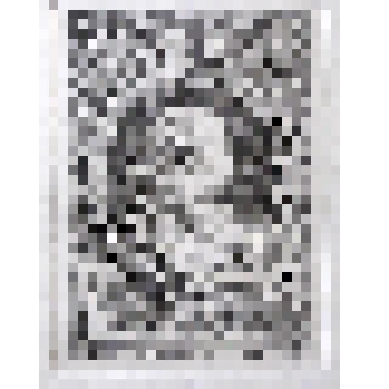 Портрет графа Григория Григорьевича Орлова. Гравюра