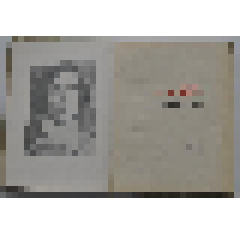 Книга "Хэзиэ Дэулэтшина"