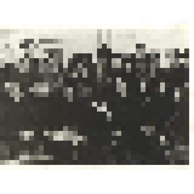 Фотография чёрно-белая. Общественное собрание