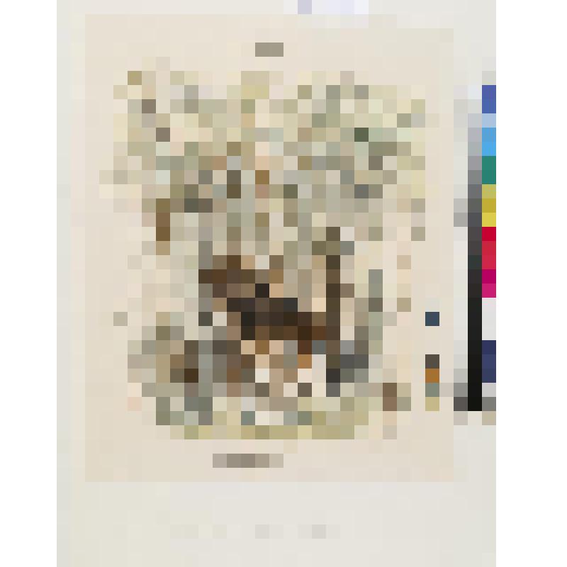 Книга "Про сороку". Лось и сорока, гравюра