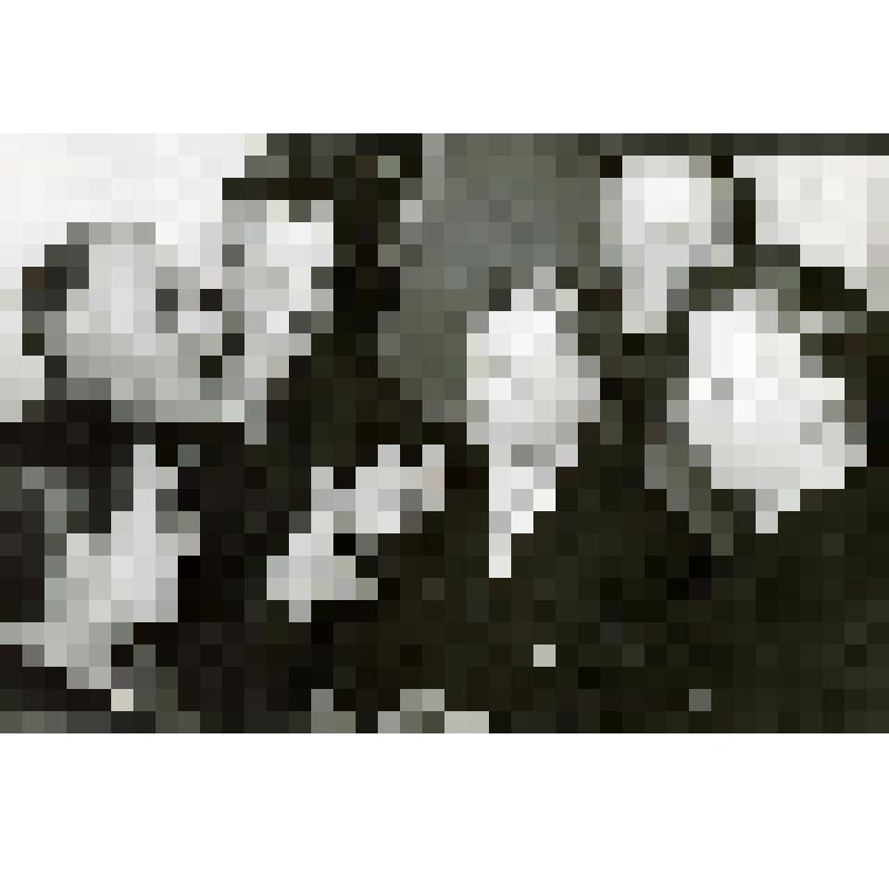 Фотография К.Ф. Кочурова с ветеранами