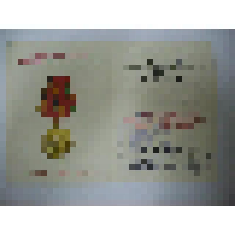 Удостоверение к юбилейной медали "Тридцать лет Победы в Великой Отечественной войне 1941-1945гг". Негановой А.Н. (1915-2002гг.), заслуженной учительницы школ УАССР, учительницы Водзимонской средней школы