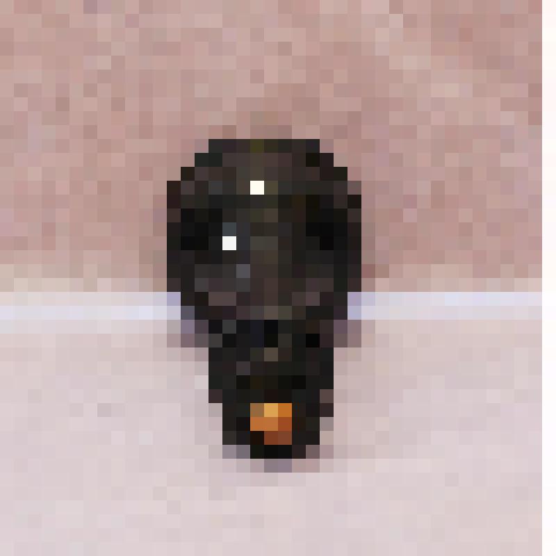 Предмет быта. Шахматы, фигура ферзь черного цвета. Из комплекта: Шахматы Дважды Героя Социалистического труда Музрукова Бориса Глебовича