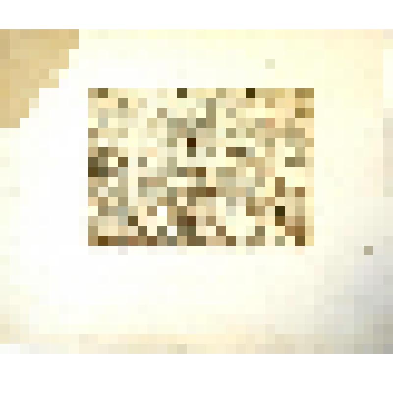 Офорт "Дом-музей И.И.Шишкина",1980 г