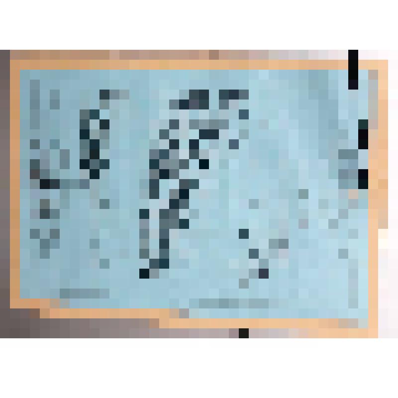 Панно "Мирский замок"