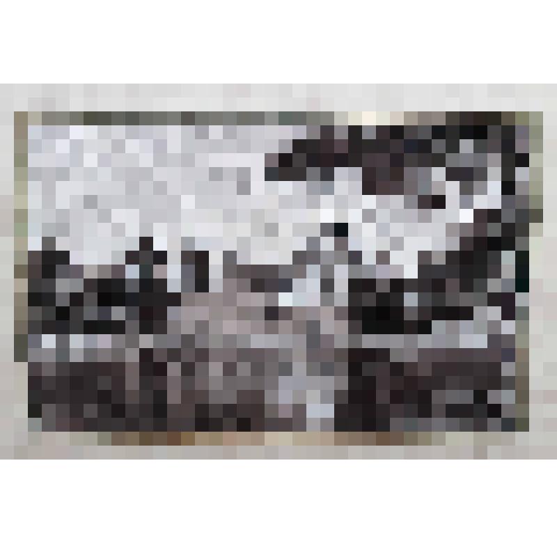 Панно "Мирский замок"