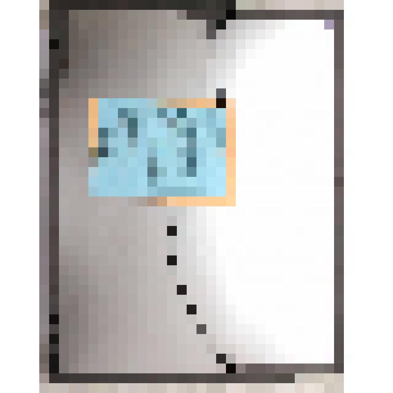 Панно "Мирский замок"