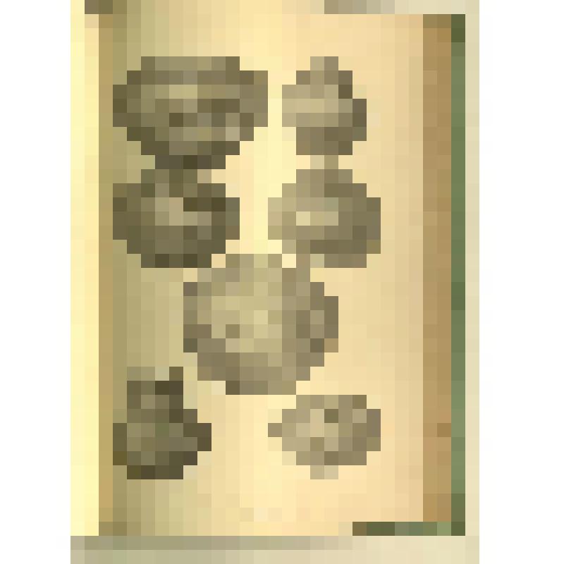 Книга. Отчет Императорской археологической комиссии за 1898 г. - Санкт-Петербург: Типография Главного управления уделов, 1901. – 191 с. : ил.: 6 табл