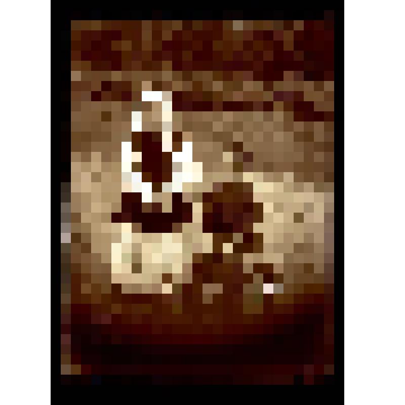 Негатив на стеклянном носителе. Портрет крестьянки с сыном. Русские