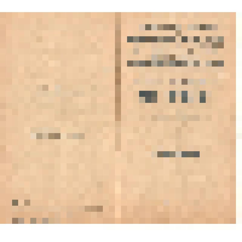 Программа премьерного спектакля "Невольницы" Ростовского драматического театра им. М. Горького