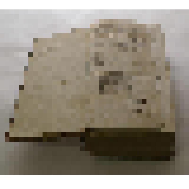 печатная книга. Christianae orthodoxae Theologiae in Academia Kiowensi a Theophane Prokopowicz euisdem academiae rectore postea Archiepiscopo Novogrodensi adornatae et propositae