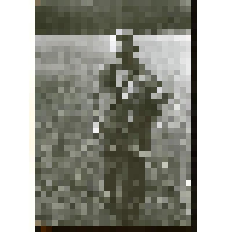 Фотография. К. Голейзовский, в Поленове, 1965 г. Поколенно, фас, голова чуть запрокинута, стоит посреди поля, в левой руке - букет полевых цветов