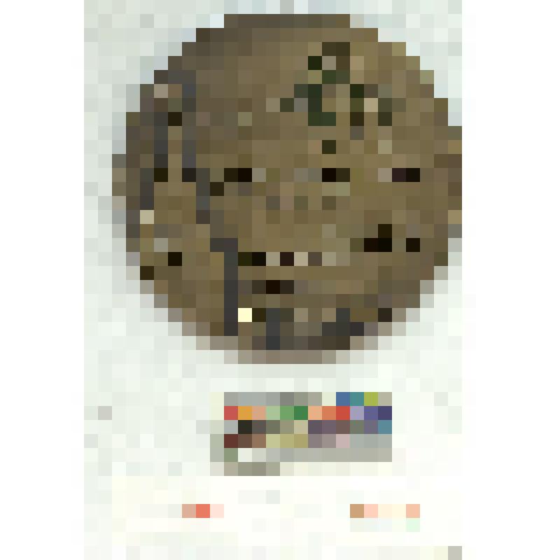 СССР. Международный турнир памяти И.М. Поддубного. Москва, 1967 г. III место