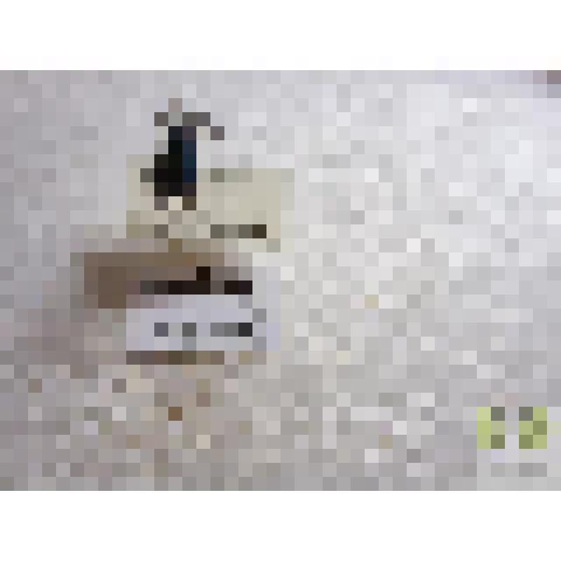 Усачик черногрудый (Gaurotes virginea L)