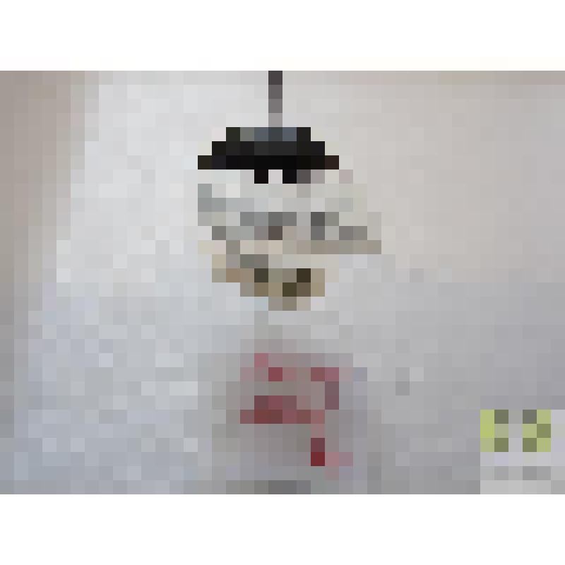 Бегун зубчатоногий  (Harpalus serripes Quens.)