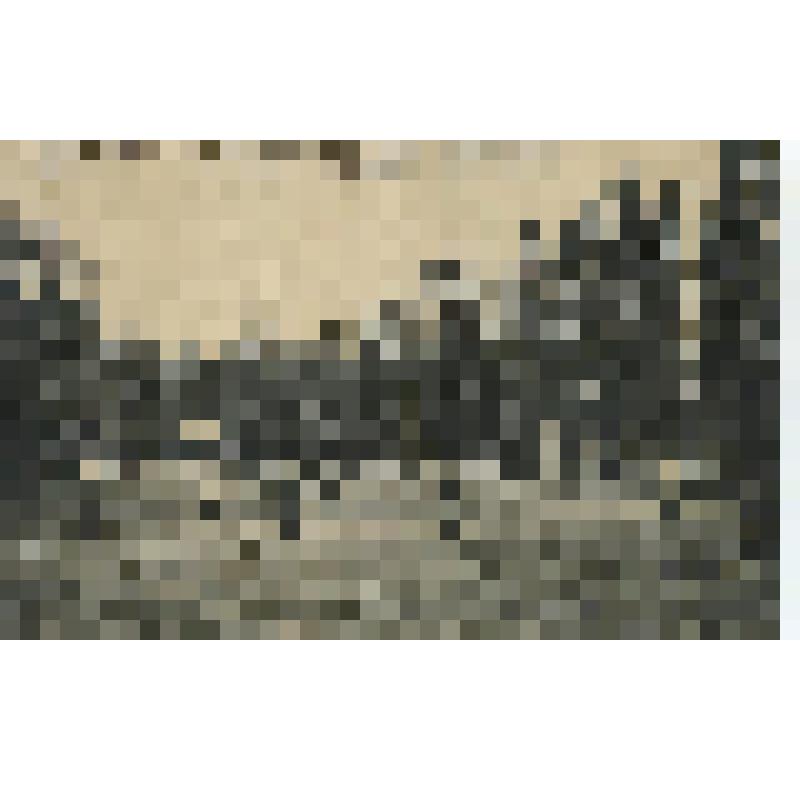 Открытка. Ч.б. Владикавказ. Парк Ерефеева-Трек. Детские игры