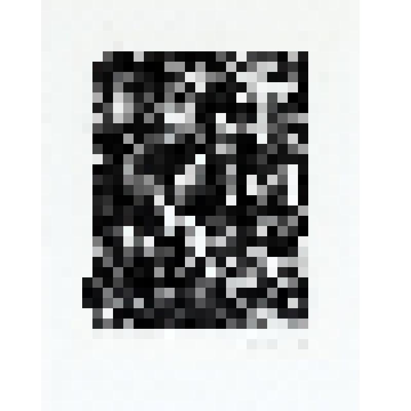 Лист из серии иллюстраций к стихам А.Кольцова.1981.Лист 2