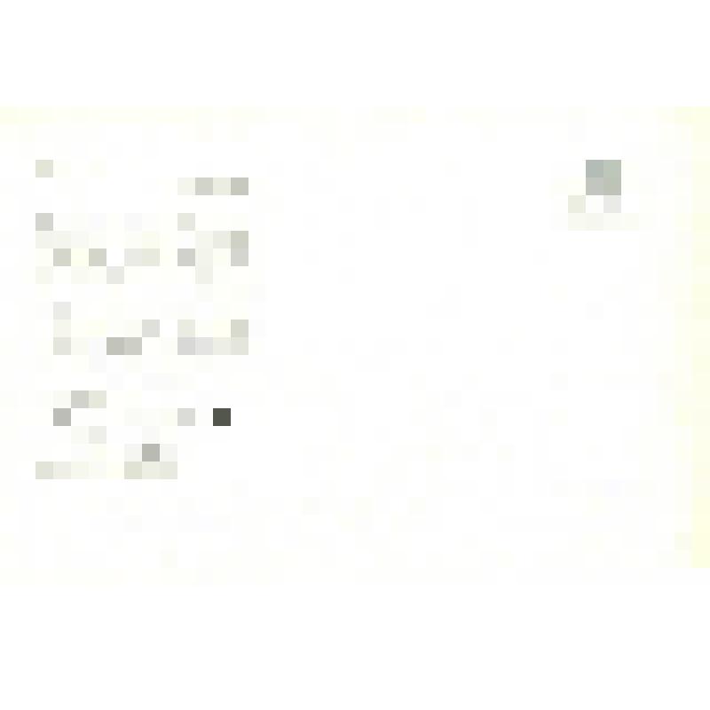 Фото-открытка цветная. Роман Хомятов