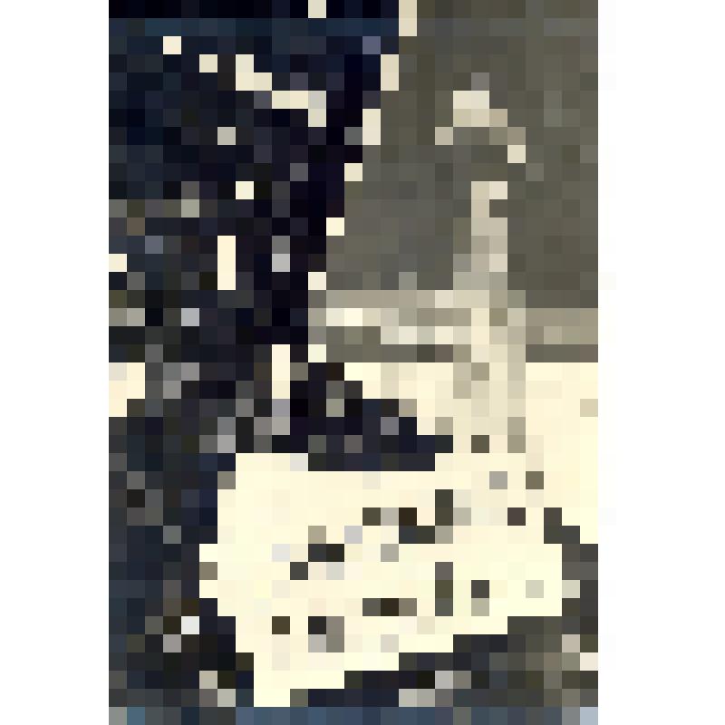 Фото-открытка. С Новым годом!