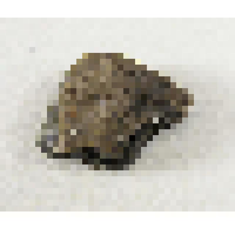 Фрагмент керамики