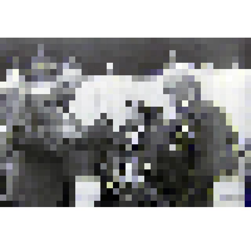 Негатив. Присуждение звания "Почетный гражданин Соликамска" Лыткину В.В. на празднике 50-летия советского калия