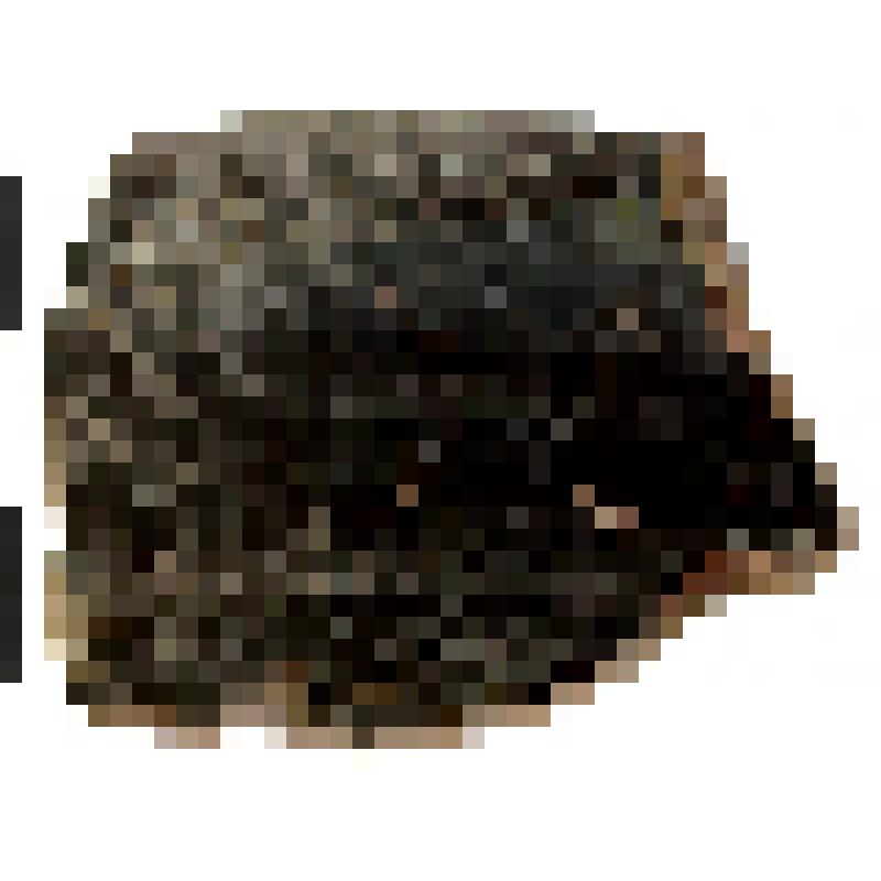 Фрагмент венчика с частью стенки чернолаковой миски