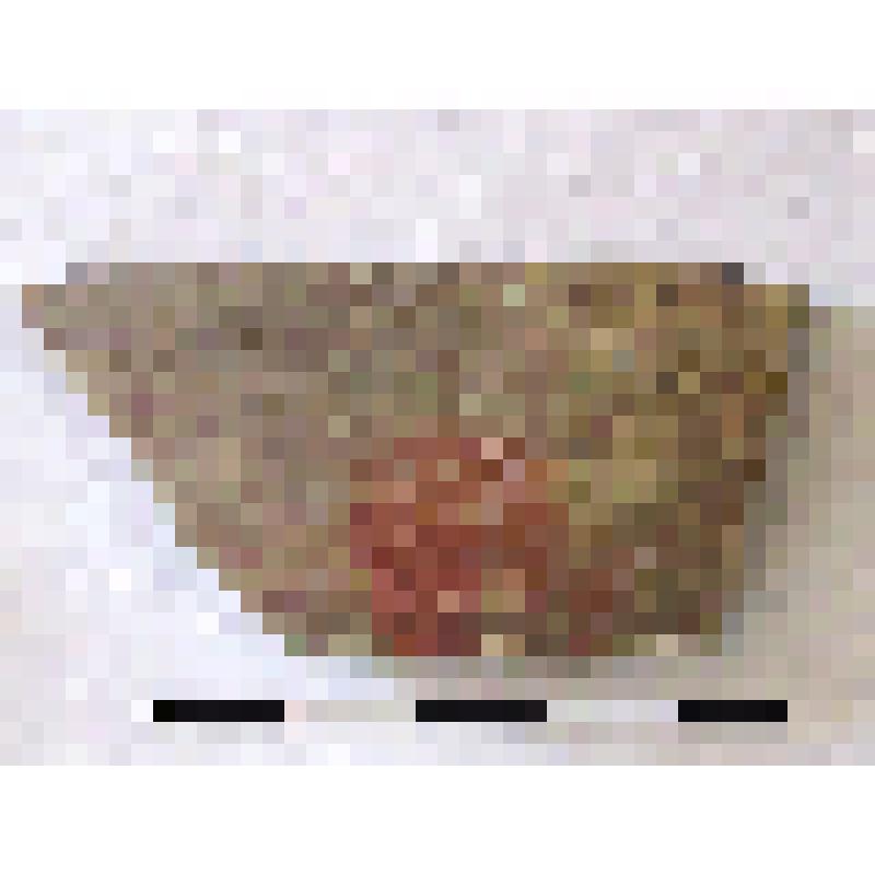 Фрагмент плеча амфоры типа D с дипинти