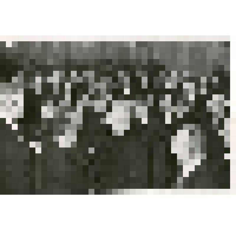 Руководители партии и правительства на приеме в честь создания Союза композиторов РСФСР в Большом Кремлевском дворце