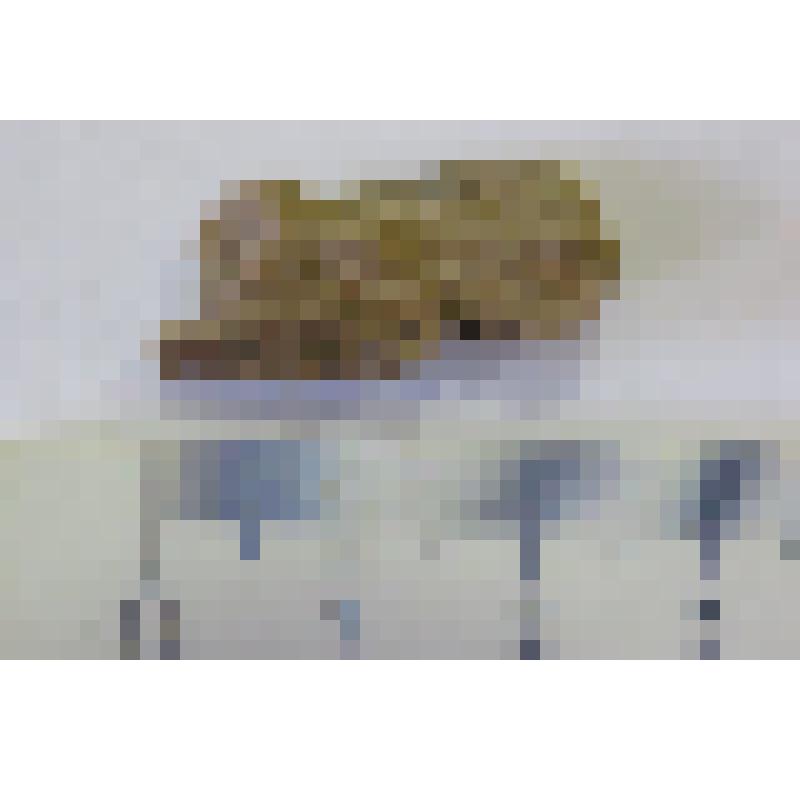 Отщеп средний. Из археологической коллекции поселения Проходная Лоза (совр. Кировская область, Малмыжский район), эпоха бронзы, эпоха камня (VI-II тыс. до н.э.)