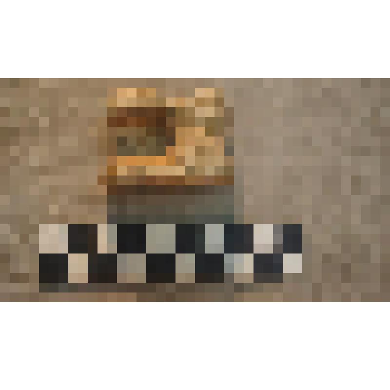 Кость игральная из астрагала