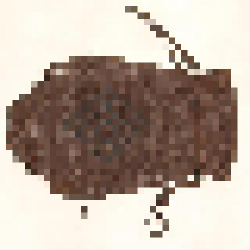 Кисет кожаный (Сумочка дамская коричневая с бахромой и плетеным орнаментом посередине)