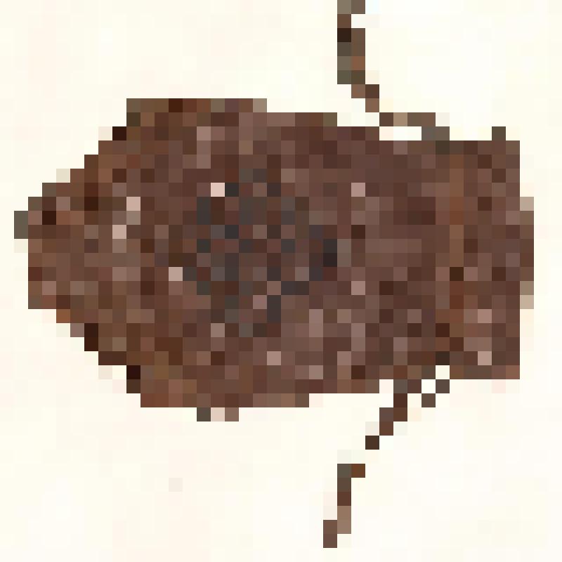 Кисет кожаный (Сумочка дамская коричневая с бахромой и плетеным орнаментом посередине)