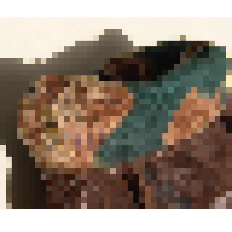 Кисет кожаный (Сумочка дамская коричневая с бахромой и плетеным орнаментом посередине)