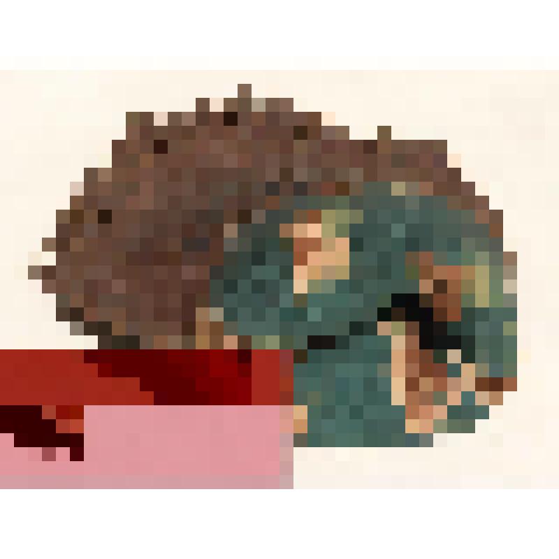 Кисет кожаный (Сумочка дамская коричневая с бахромой и плетеным орнаментом посередине)