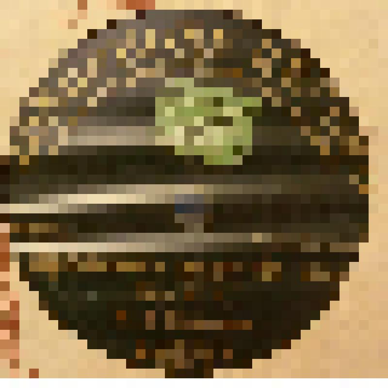 Грампластинка. Пьеса: "Дремлют плакучие ивы". Исполняет Каринская М.А. /русская песня/, Россия, С-Петербург; Пьеса: "Колокольчики".  Исполняет Каринская М.А. /русская песня/, Россия, С-Петербург