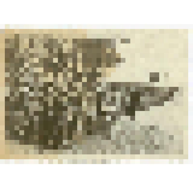 Фотография. Торжественное построение учащихся Саратовской спецшколы ВВС № 8 в День открытия летних лагерей на Кумысной поляне