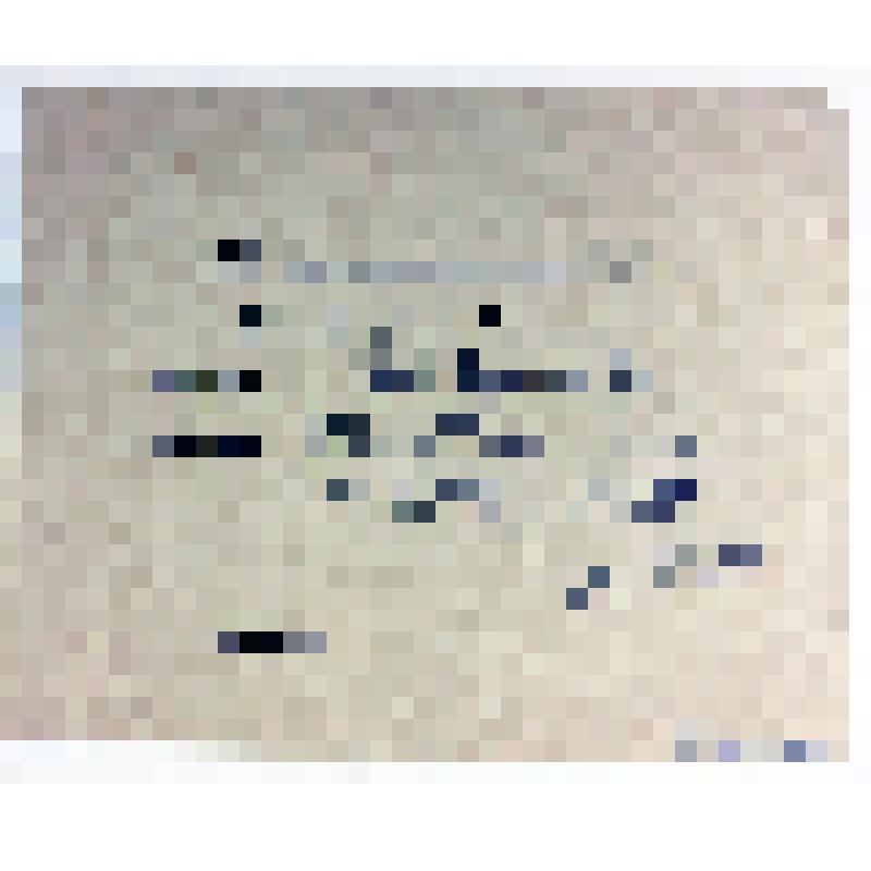 Требование библиотечное на книгу Недашенко Д.Д. «Указатель книг за 1902-1910» Вавилова Н.И., сотрудника кафедры частного земледелия Московского сельскохозяйственного института