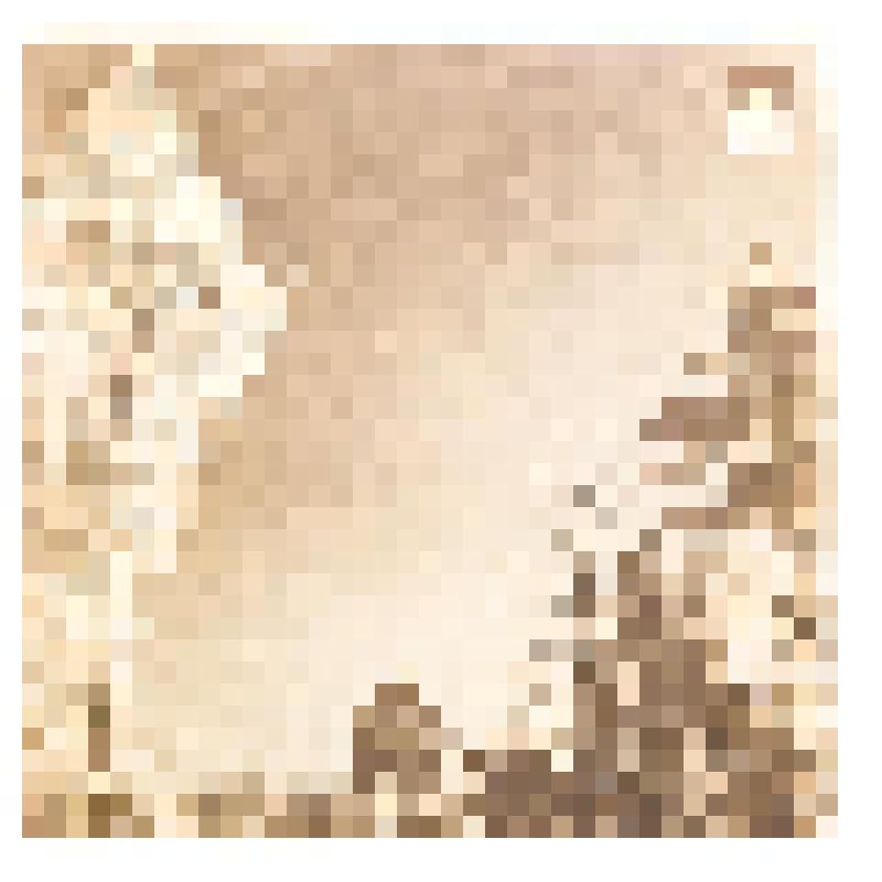 Грампластинка. Бременские музыканты: Фантазия В. Ливанова и Ю. Энтина на тему сказки бр. Гримм